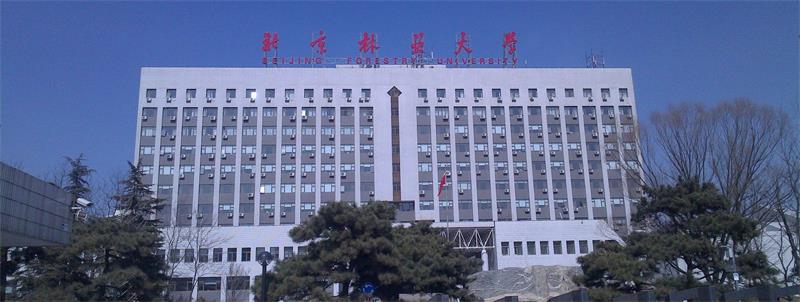 北京林業(yè)大學(xué)大樓