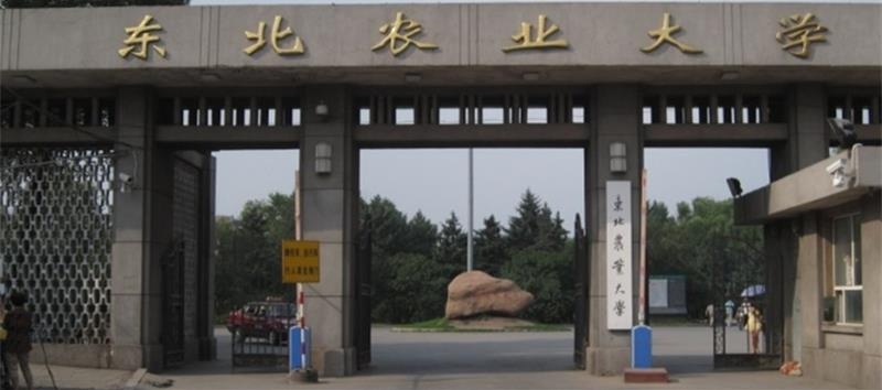 東北農(nóng)業(yè)大學(xué)校門
