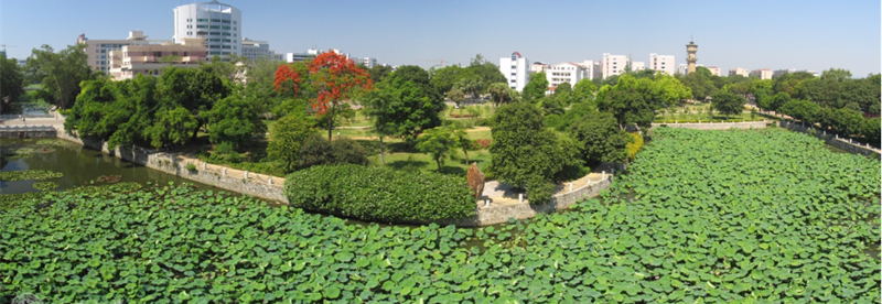 廣西大學(xué)校景