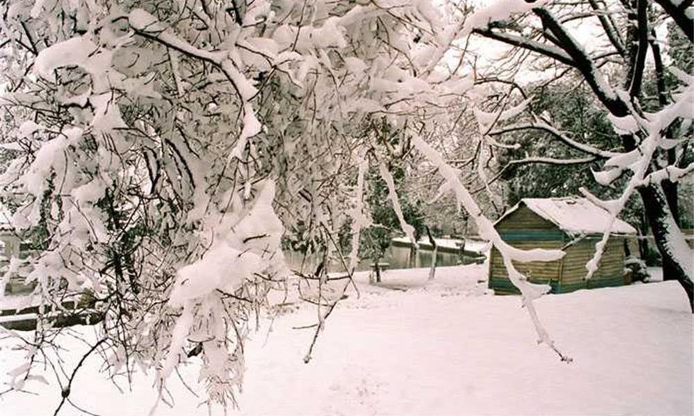 合肥工業大學雪景1