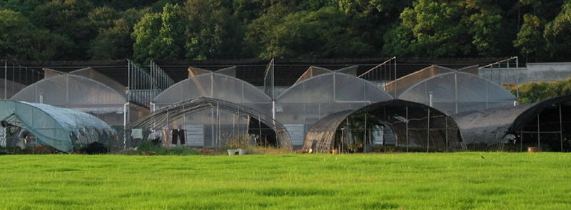 華中農業大學實習基地