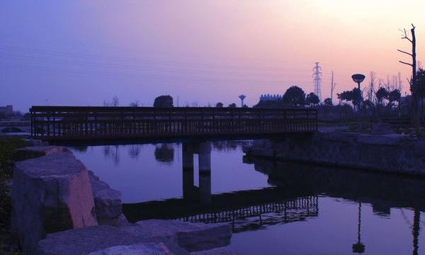 寧波大學(xué)夜景1