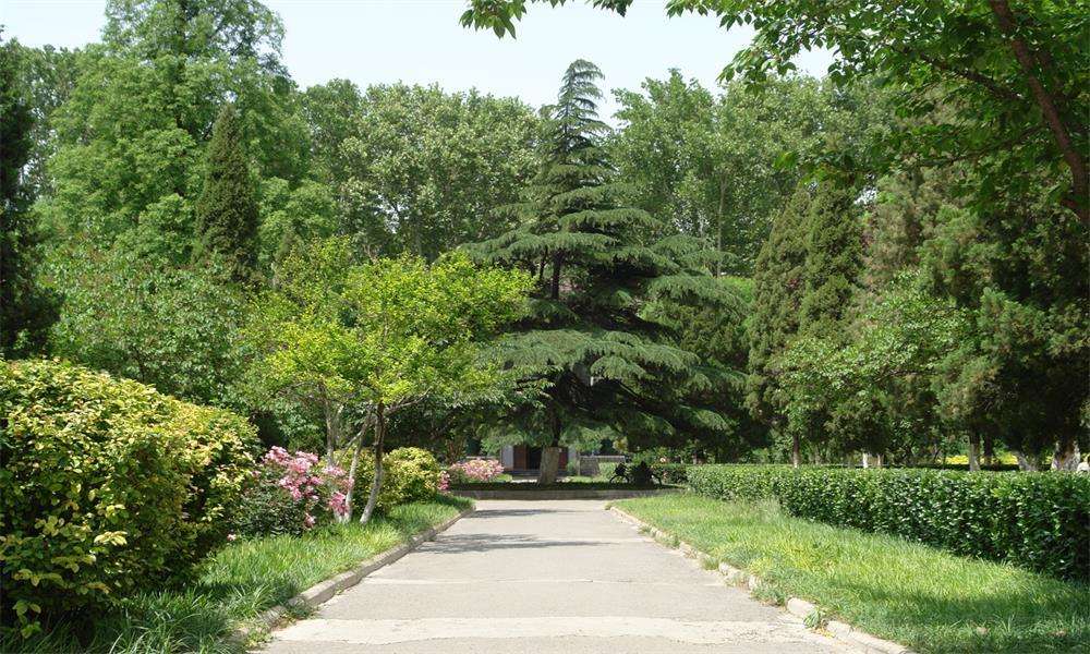 山東大學風景1