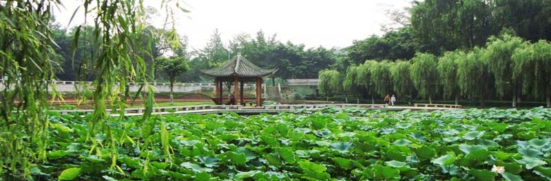 西南交通大學校景