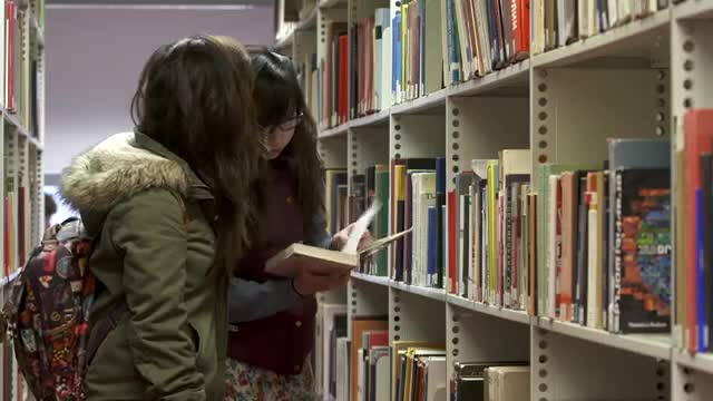 萊斯特大學學院設置