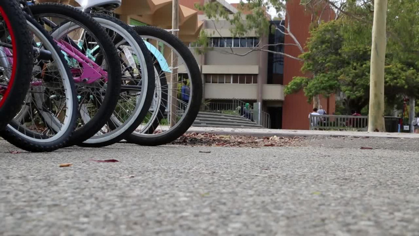 加州大學圣塔芭芭拉分校學院設置