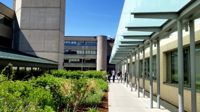多倫多大學學院設置