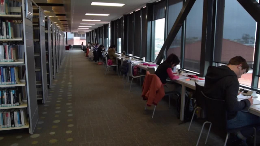 梅西大學學院設置