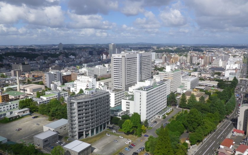 東北大學（日本）優勢專業