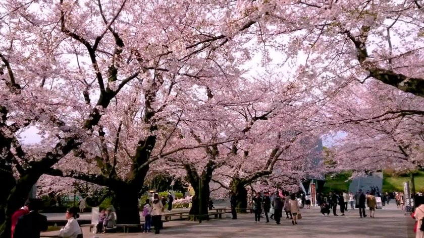 東京工業大學優勢專業