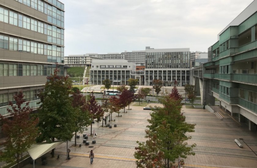 九州大學(xué)圖片