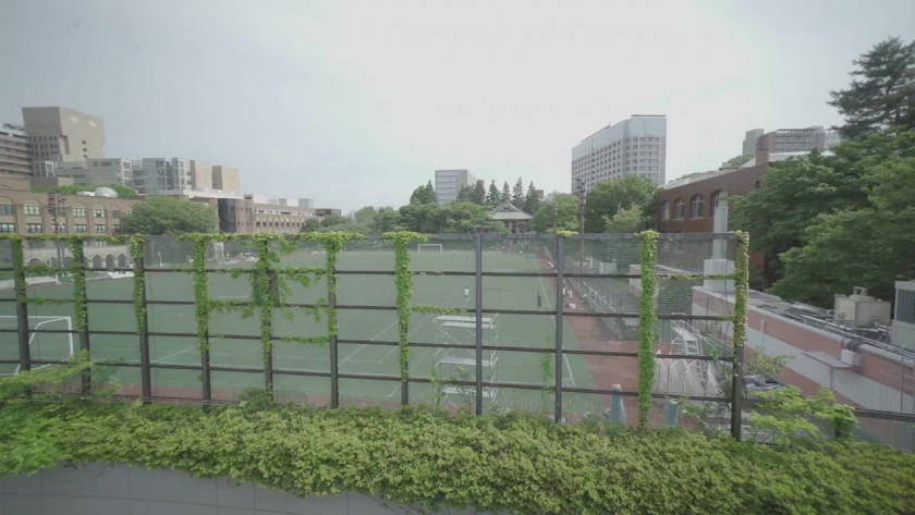 東京大學(xué)學(xué)院設(shè)置