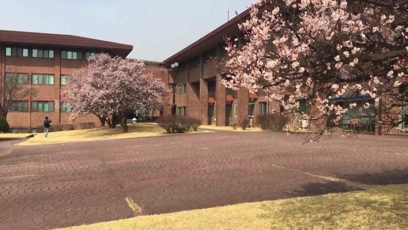 韓國科學技術院學院設置
