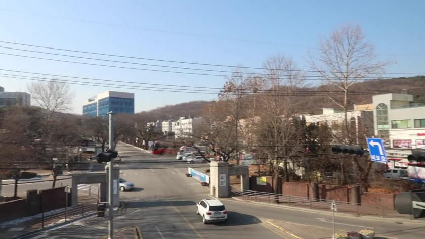 高麗大學學院設置