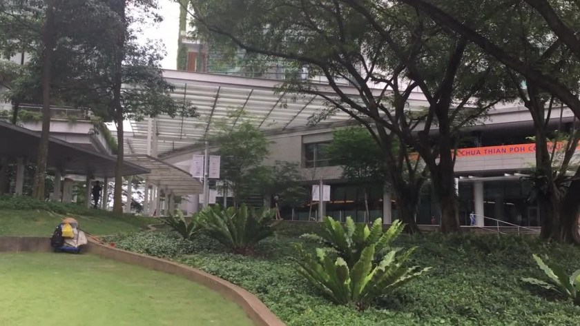 新加坡國立大學學院設置