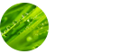草學在職研究生