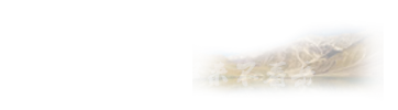 在職研究生專業