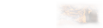 在職研究生專業