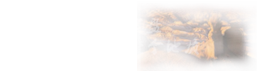 在職研究生專業