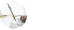 翻譯在職研究生