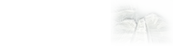 建筑學