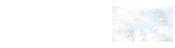 理論經濟學