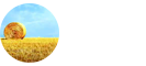 農(nóng)學(xué)在職研究生