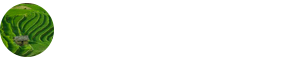 農(nóng)業(yè)資源與環(huán)境在職研究生