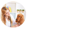 獸醫(yī)學(xué)在職研究生