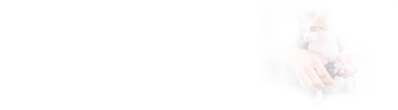 在職研究生專業(yè)