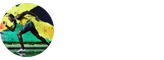 體育學(xué)在職研究生