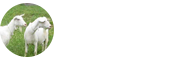 畜牧學在職研究生