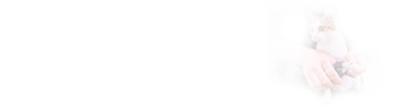 在職研究生專業