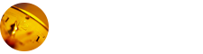 應用經(jīng)濟學在職研究生
