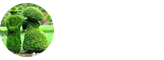 園藝學在職研究生