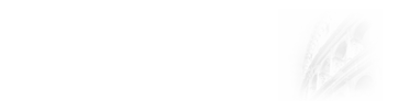 在職研究生專業