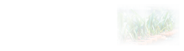 在職研究生專業